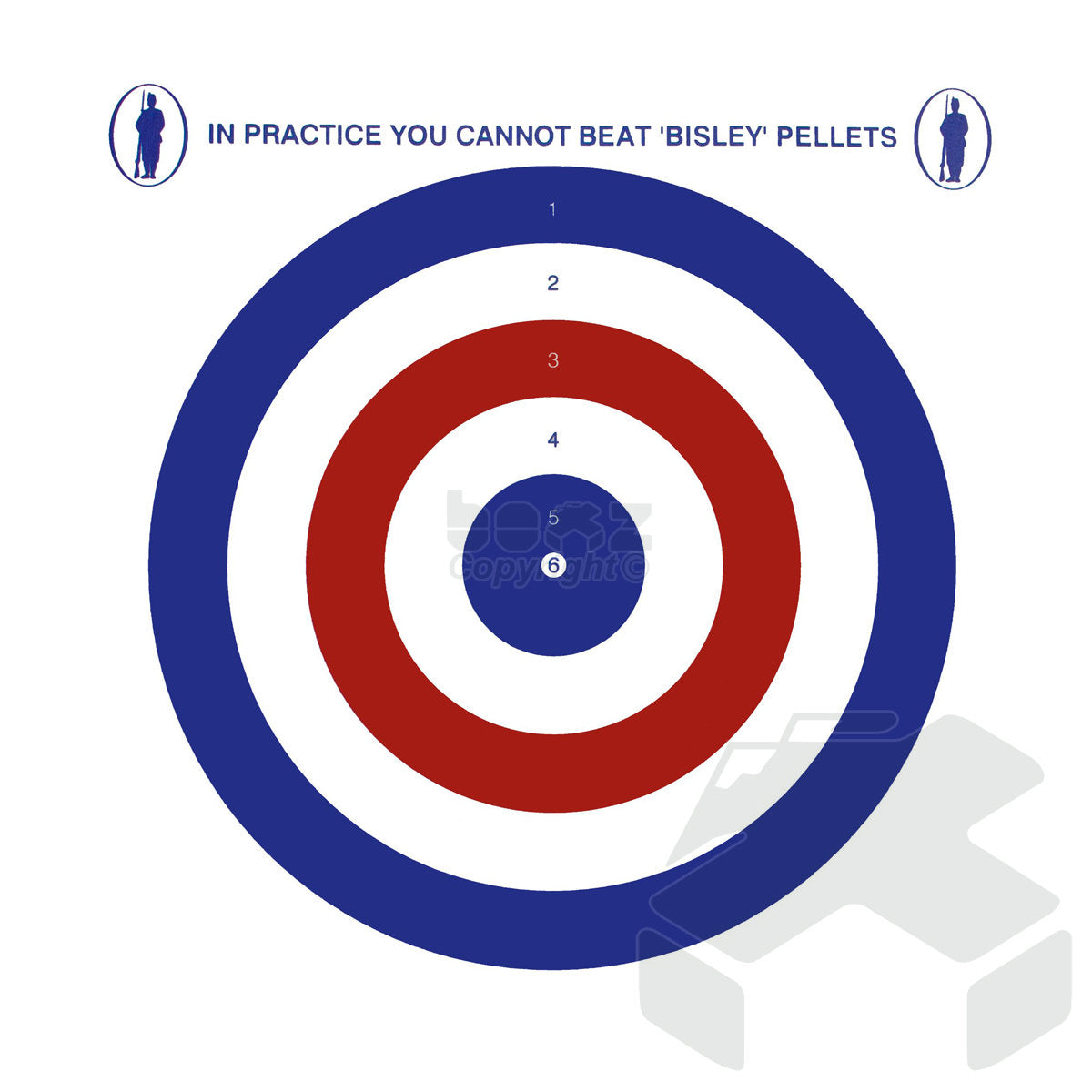 Bisley Light Duty Paper Targets Single Target Coloured Design